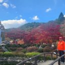 멍하니반하다 이미지