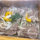 일공공샤브 통영점 이미지