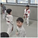 봉담태권도장 이미지