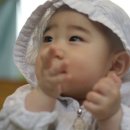 금헌힐링캠핑장 네이버블로그