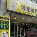 깔롱펫 이미지