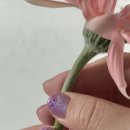 꼬꼬마네일