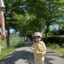 모찌네식탁 이미지