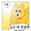(주)조하 이미지