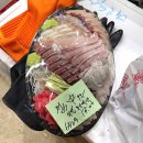 청해학교 | [송파,가락시장 맛집] 청해수산,초장집 소정식당,참치학교, BBQ본사｜송년회, 대방어와 대게찜, 우니와...