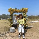 임실치즈테마파크 생생후기