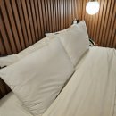 브라운도트호텔(광주용봉점) | [광주] 광주 숙소 출장숙소 광주야구장 주변숙소 챔피언스필드 주변숙소 , 브라운도트호텔 광주용봉점