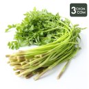 삼촌유통 이미지