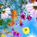 광남도서관 이미지