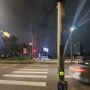[강남] 황해 구남이가 쓴 책 &lt;걷는사람,하정우&gt;에 감명받고 회사-집 걸어가보기 + 푸드코트st 회센터...