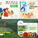 보성녹차미인 이미지