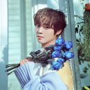 매일;메이 Daum카페