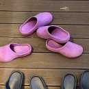 코티지 309 이미지