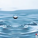 바이제로(Vi-Zero) 이미지