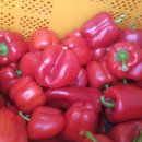 합천푸드뱅크 이미지