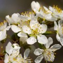 도량초등학교 병설유치원 이미지
