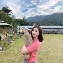 아이케어 동물병원 이미지