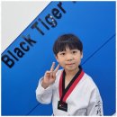 타이거태권도장 이미지