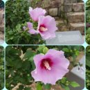 홀론공원 이미지