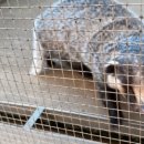 쌍둥농장 이미지