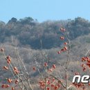 서부지방산림청(정읍국유림관리소) 이미지