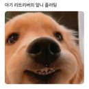 유성카프라자 | 𝙱𝚈𝙴 𝟸𝟶𝟸𝟺