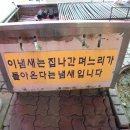 포원픽 이미지