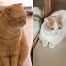 제이윤 이미지