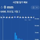 그린월드 이미지