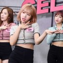 채원 스포츠투데이