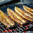 장어의꿈 이미지