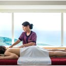 스파피닉스 이미지