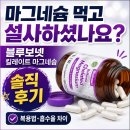블루보넷 - 성남시 분당구 내정로166번길 7-6 | 마그네슘 먹고 설사하셨나요? 블루보넷 킬레이트 마그네슘 솔직 후기 (복용법·흡수율 차이)