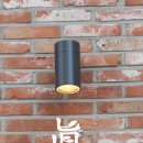 진지함 옥수점