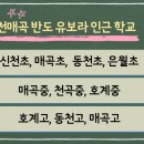 매곡초등 이미지