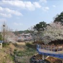 농촌체험코스(중부) 이미지