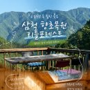 강원도여행 삼척 향초목원 리틀포레스트, 산속 통나무 감성 숙소 연박 후기