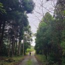 월포해수욕장야영장 | [걷기] 남파랑길 42코스 (남해바래길 10코스)