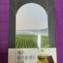 돌코롬 | 제주도 기념품 추천! 달콤하고 바삭한 '제주 돌코롬샌드 녹차' 솔직 후기 🍵