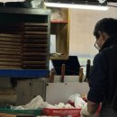 말바우시장 | 광주 말바우시장 득량만 횟집 솔직 방문 후기