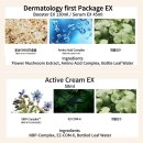 피부미인(인셀덤) | 5년의 변화, 피부가 증명해 주는 인셀덤 기미 · 주근깨 피부에서 맑은 피부로의 여정