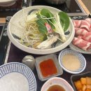 샐러디배곧점 | 시흥 배곧 술집 밥집 맛집 혼밥 추천 +가본곳 후기
