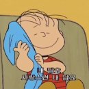 서래마을이야기 이미지