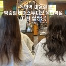다람미용실 - 창원시 마산회원구 | 다람미용실
