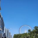 해오름로 | [속초 카페] 새벽에도 테이크아웃 가능한 속초디저트카페 '티라노커피' 후기