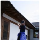 버섯구지마을 이미지