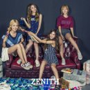 스텔라 이미지