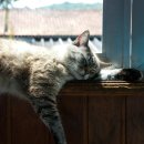 계양메디칼센터 이미지