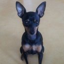 장미장여관 이미지