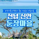 둔장어촌체험휴양마을 | {전남 여행지 추천}신안 둔장 어촌체험 휴양마을!